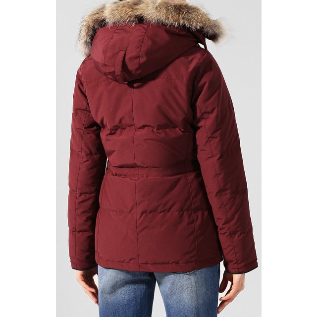 фото Парка chelsea canada goose