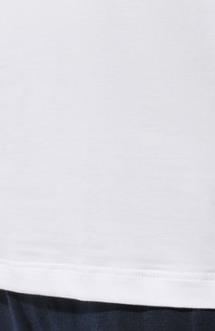Мужская хлопковая футболка HANRO белого цвета, арт. 073089. | Фото 5 (Кросс-КТ: домашняя одежда; Рукава: Короткие; Длина (для топов): Стандартные; Материал сплава: Проставлено; Материал внешний: Хлопок; Драгоценные камни: Проставлено)