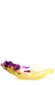 Мелочница iris DAUM разноцветного цвета, арт. 01641 | Фото 1 (Материал внутренний: Не назначено; Региональные ограничения белый список (Axapta Mercury): Не проставлено; Нос: Не проставлено; Статус проверки: Проверена категория; Ограничения доставки: fragile-2)