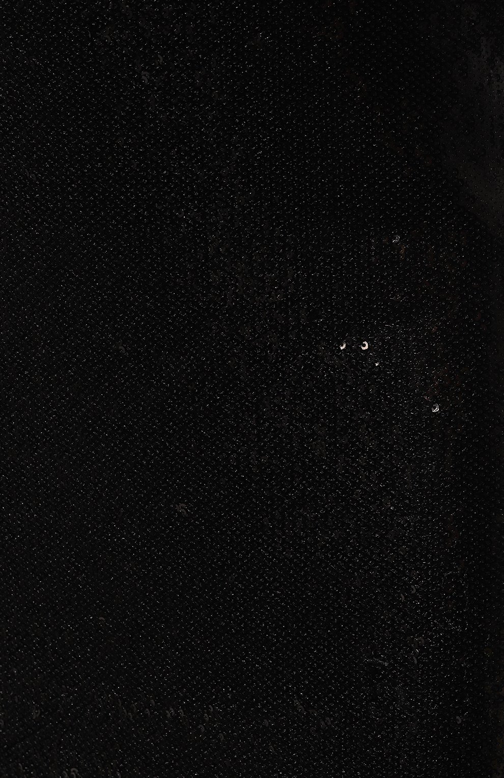 Женская юбка с пайетками PHILOSOPHY DI LORENZO SERAFINI черного цвета, арт. A0106/5725 | Фото 5 (Материал внешний: Синтетический материал; Женское Кросс-КТ: Юбка-одежда; Материал сплава: Проставлено; Длина Ж (юбки, платья, шорты): Миди; Материал подклада: Синтетический материал; Драгоценные камни: Проставлено; Стили: Романтичный)