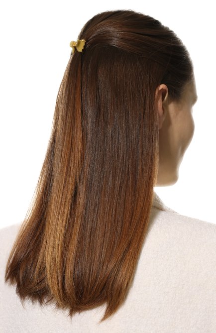 Женская комплект из двух заколок для волос ALEXANDRE DE PARIS салатового цвета, арт. ICCXS-14338-02P22 K | Фото 2 (Материал: Пластик)