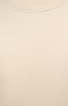 Женский хлопковый свитшот AGOLDE светло-бежевого цвета, арт. A7074B | Фото 5 (Рукава: Длинные; Длина (для топов): Стандартные; Региональные ограничения белый список (Axapta Mercury): RU; Материал внешний: Хлопок; Стили: Спорт-шик; Женское Кросс-КТ: Свитшот-одежда)