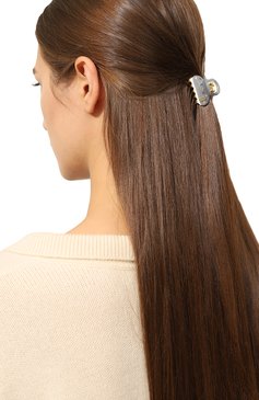 Женская заколка для волос ALEXANDRE DE PARIS серого цвета, арт. ICCB-12831-03A23 OG | Фото 2 (Материал: Пластик)