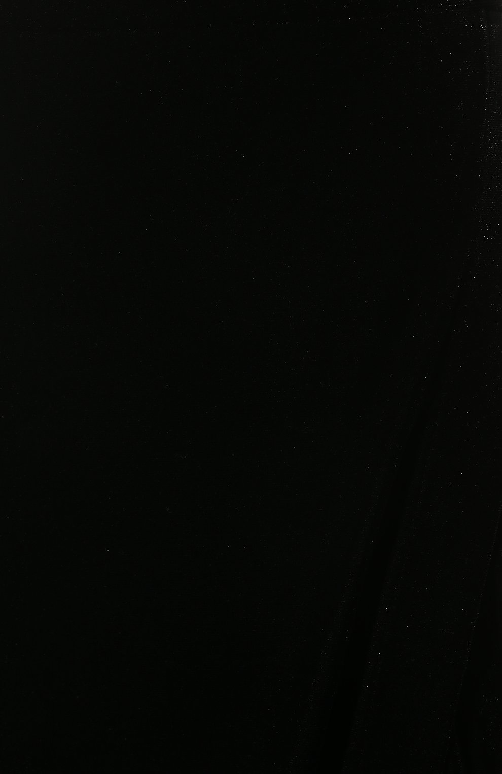 Женская бархатная юбка TEGIN черного цвета, арт. FS2305 | Фото 5 (Материал внешний: Шелк, Вискоза; Кросс-КТ: Трикотаж; Женское Кросс-КТ: Юбка-одежда; Длина Ж (юбки, платья, шорты): Макси; Стили: Романтичный)