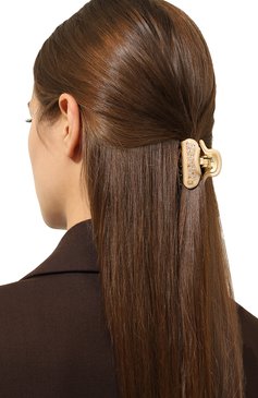 Женская заколка для волос ALEXANDRE DE PARIS бежевого цвета, арт. ICC45-14339-04A23 OS | Фото 2 (Материал сплава: Проставлено; Нос: Не проставлено)